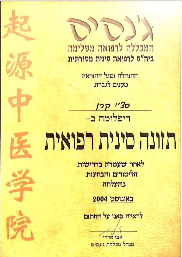 תמונה12