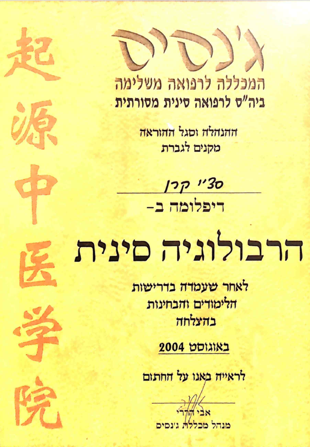 תמונה13