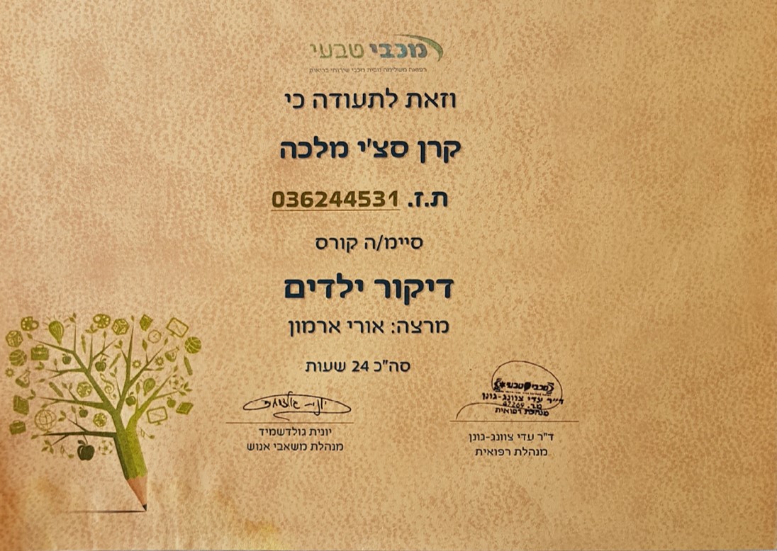 תמונה8